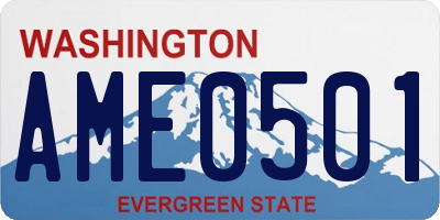 WA license plate AME0501