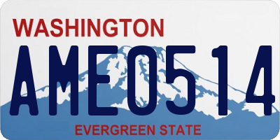 WA license plate AME0514