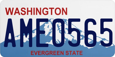WA license plate AME0565