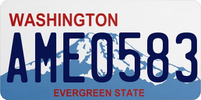 WA license plate AME0583