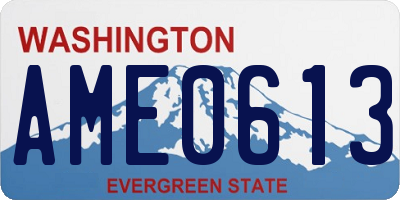 WA license plate AME0613
