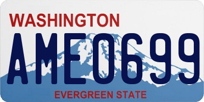 WA license plate AME0699