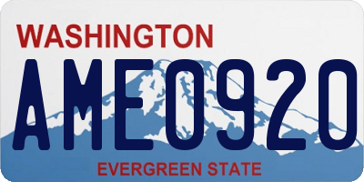 WA license plate AME0920