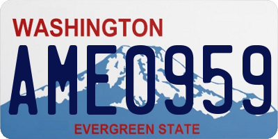 WA license plate AME0959