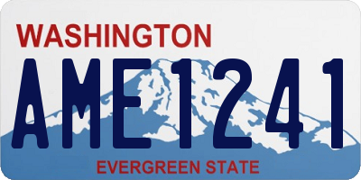 WA license plate AME1241