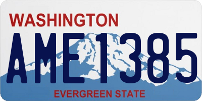 WA license plate AME1385