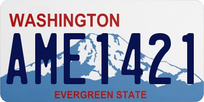 WA license plate AME1421