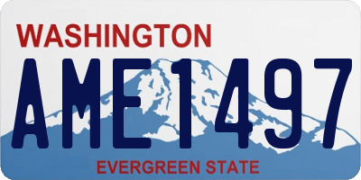 WA license plate AME1497