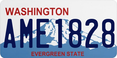 WA license plate AME1828