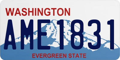 WA license plate AME1831