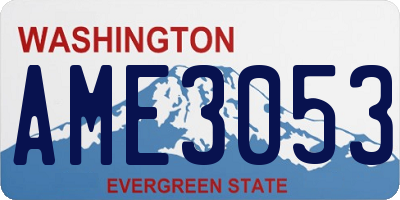 WA license plate AME3053