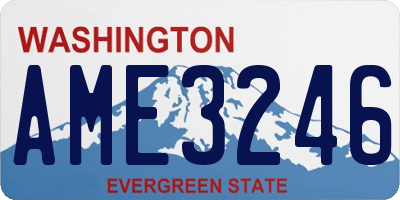 WA license plate AME3246
