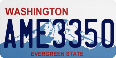 WA license plate AME3350