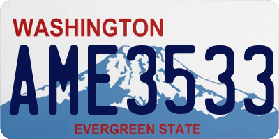 WA license plate AME3533