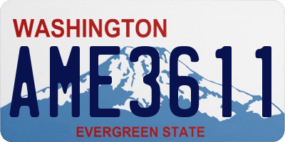 WA license plate AME3611