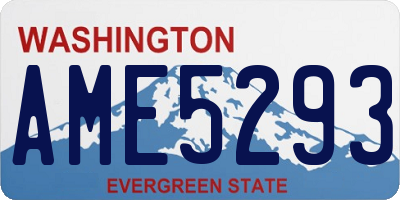 WA license plate AME5293
