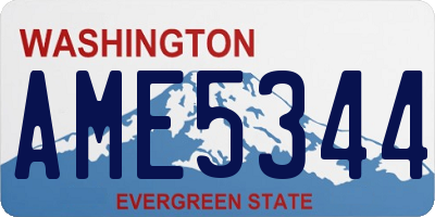 WA license plate AME5344