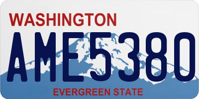 WA license plate AME5380