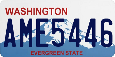 WA license plate AME5446