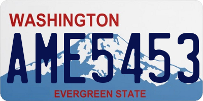 WA license plate AME5453