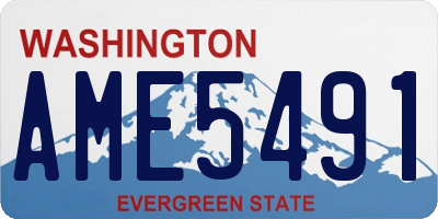 WA license plate AME5491