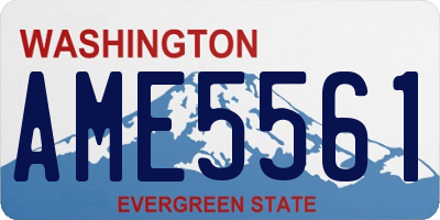 WA license plate AME5561