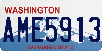 WA license plate AME5913