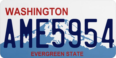 WA license plate AME5954