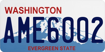 WA license plate AME6002