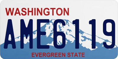 WA license plate AME6119