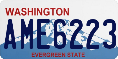 WA license plate AME6223