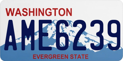 WA license plate AME6239