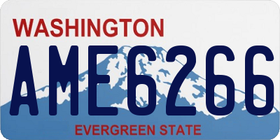 WA license plate AME6266
