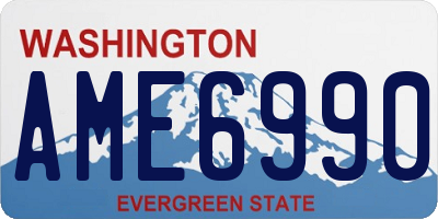 WA license plate AME6990