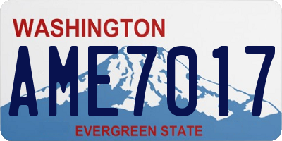 WA license plate AME7017