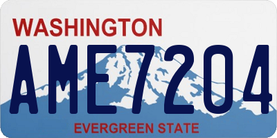 WA license plate AME7204