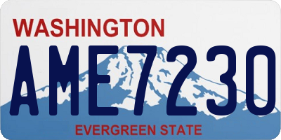 WA license plate AME7230