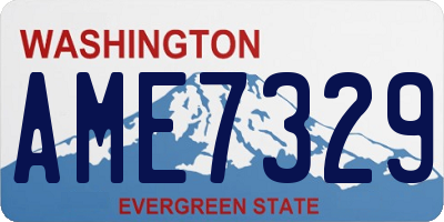 WA license plate AME7329