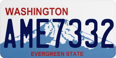 WA license plate AME7332
