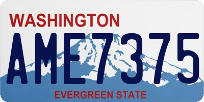 WA license plate AME7375