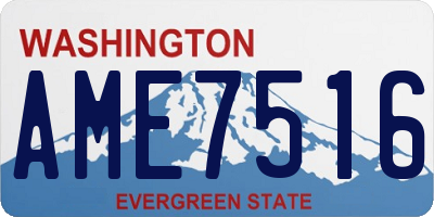 WA license plate AME7516