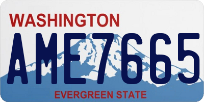 WA license plate AME7665