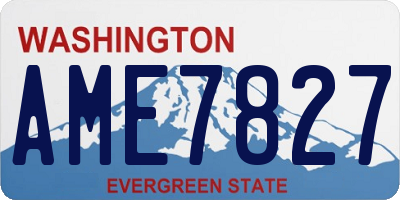 WA license plate AME7827
