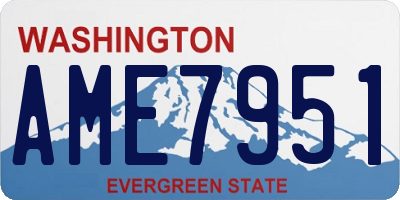 WA license plate AME7951