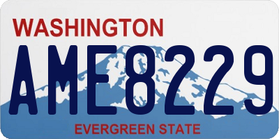 WA license plate AME8229