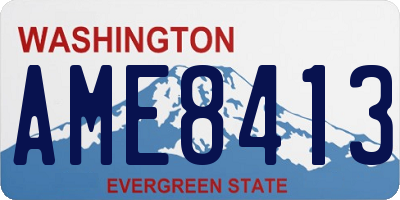 WA license plate AME8413