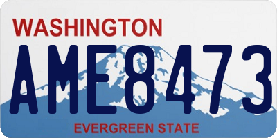 WA license plate AME8473