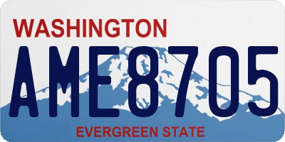 WA license plate AME8705