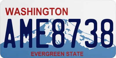 WA license plate AME8738