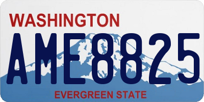 WA license plate AME8825